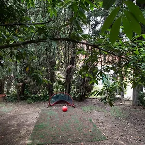 Vatican Quiet With Garden & Parking Rome